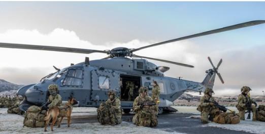 NZ reserve force soldiers participate in exercise to enhance operational readiness, ensure seamless integration with regular forces