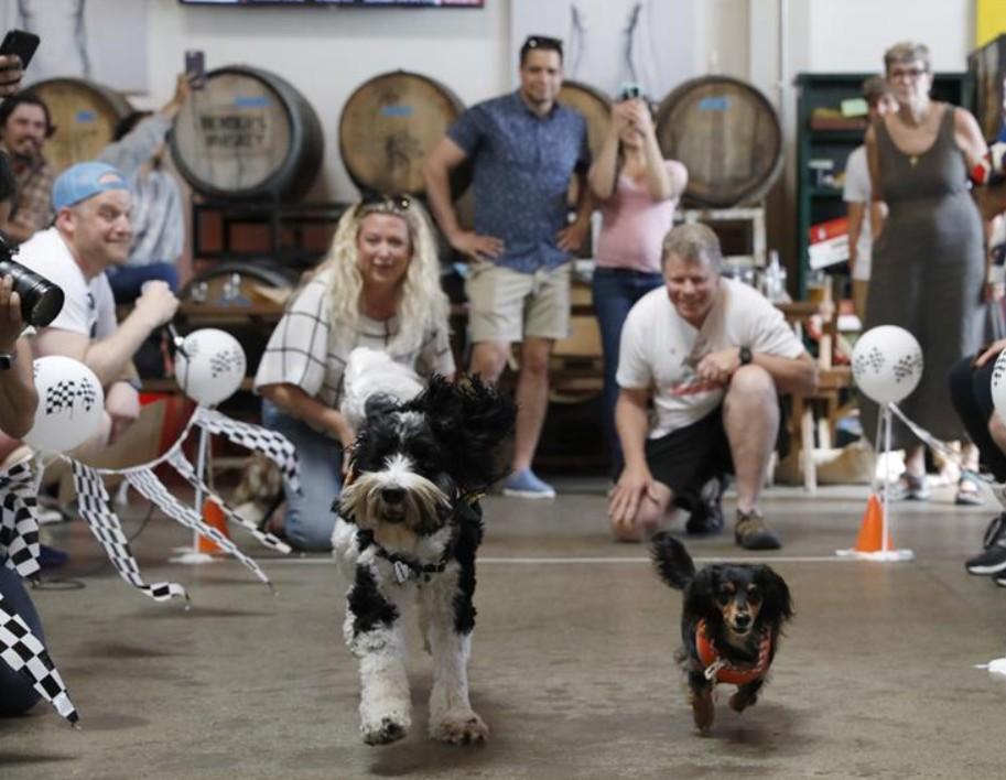 US pet market hits record levels, but faces rising costs, regulatory challenges