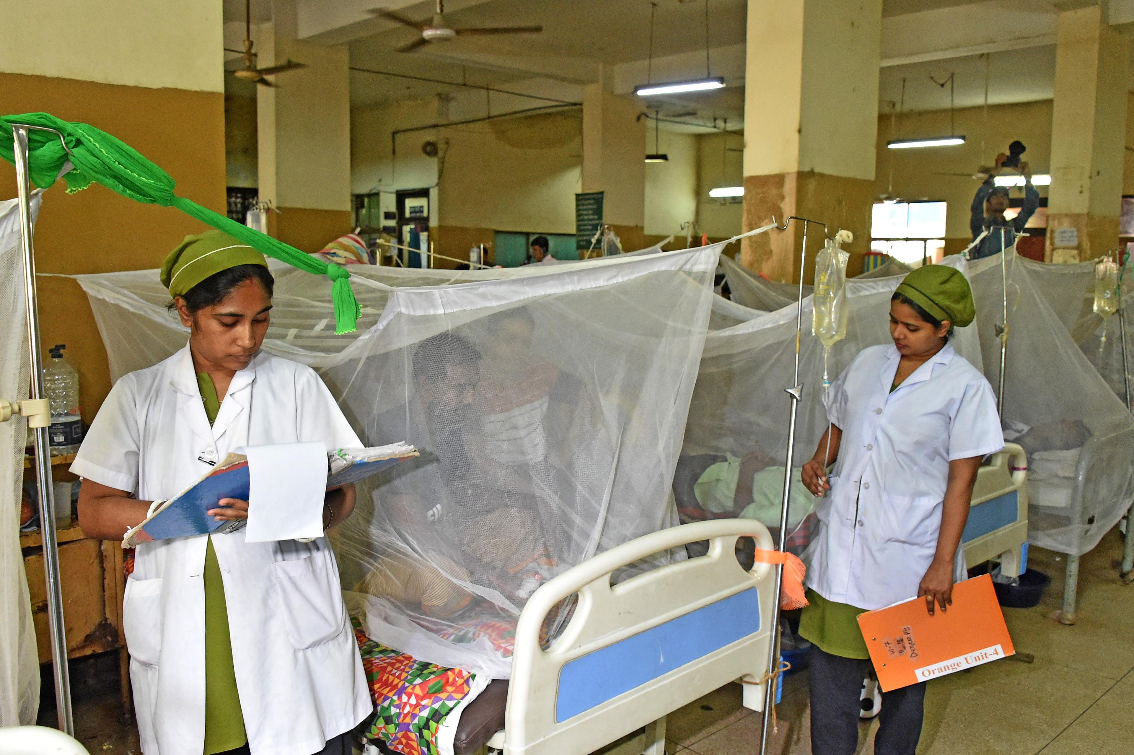 Bangladesh: Five more people die of dengue, 2025 death toll crosses 390