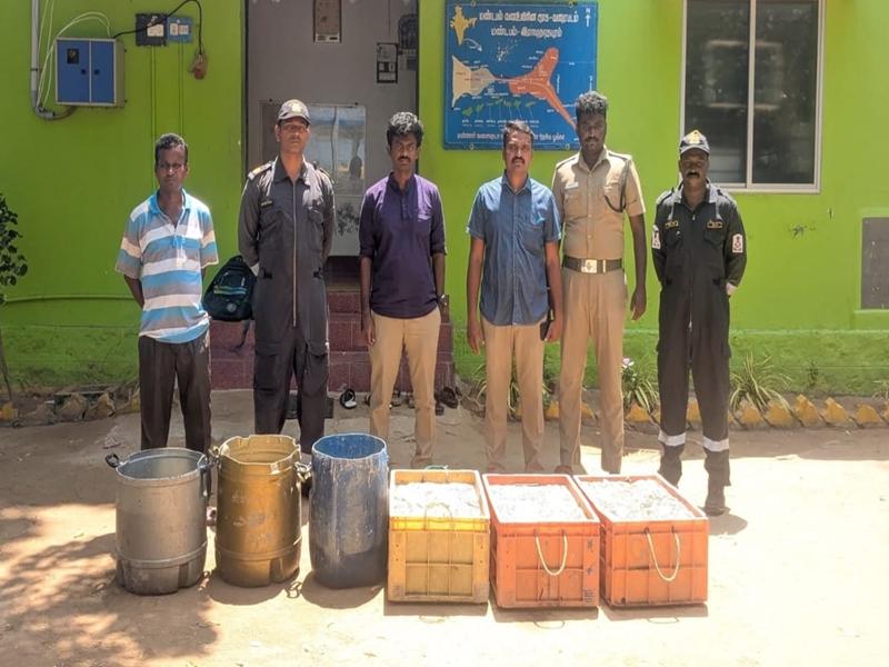 Indian Coast Guard foils major sea cucumber smuggling bid near Vedalai coast