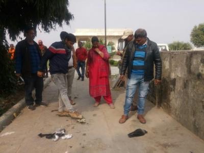 TN issues statewide bird flu alert after crow deaths; public advised to take strict precautions