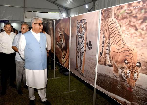 Tiger reserves increased from 46 to 58 since 2014: Bhupender Yadav