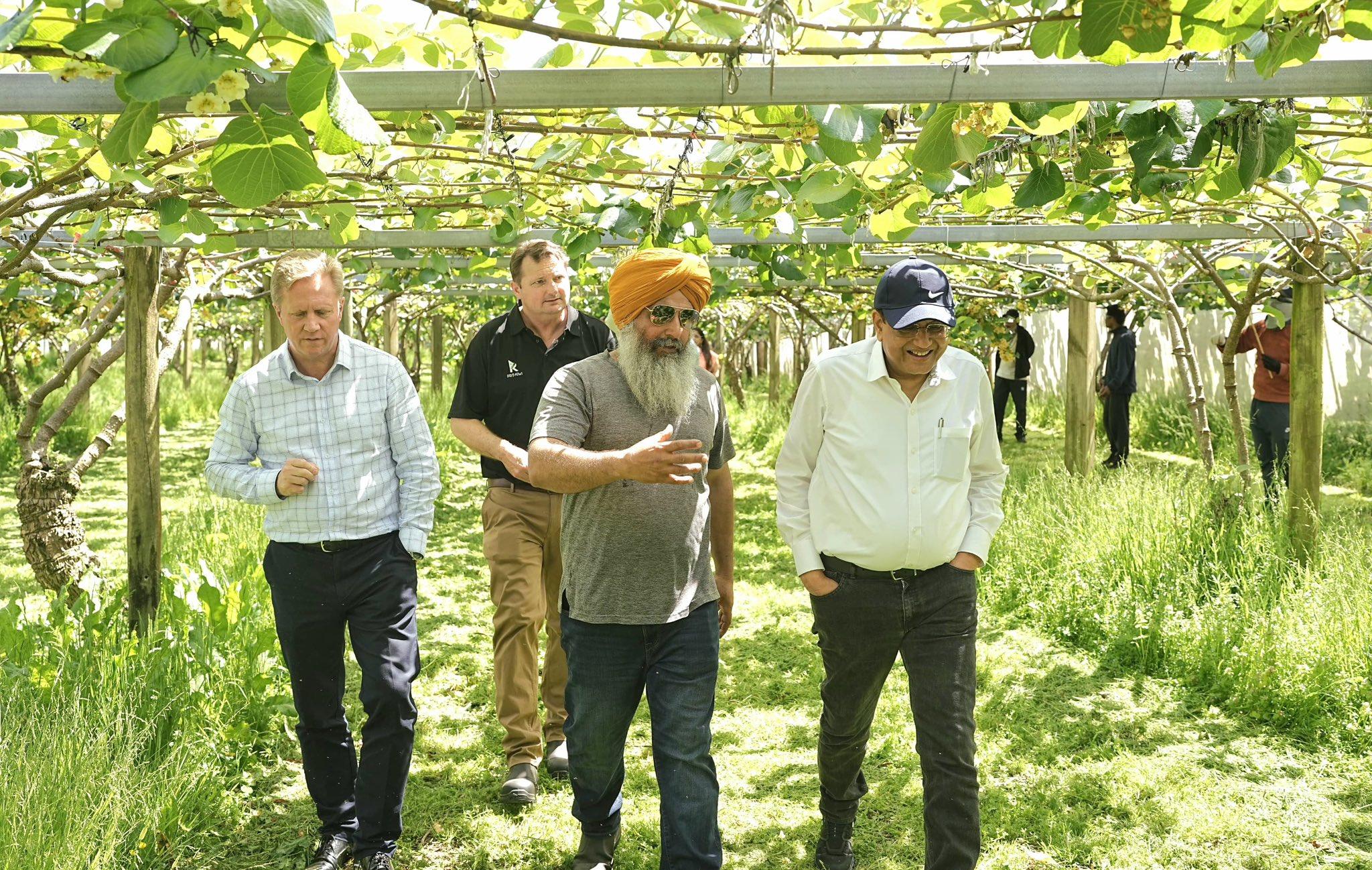 Grateful to Kiwi-Indian farmers for very productive orchard visit: Piyush Goyal