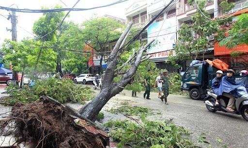 Typhoon Kalmaegi leaves five dead in central Vietnam