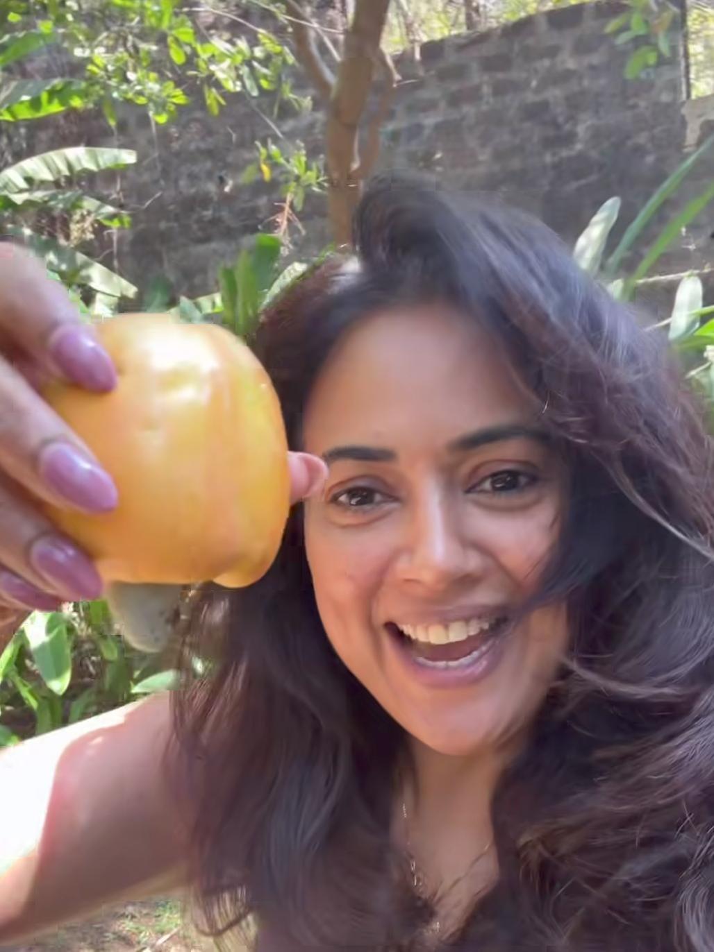 Sameera Reddy thrilled as Cashew season begins, shares glimpse from her own home garden