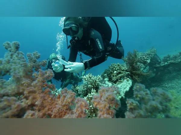 Eilat’s Red Sea coral reefs