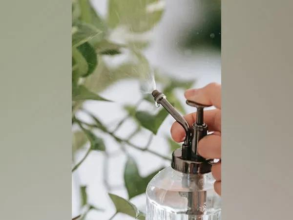 Spray Method For Bioactive Materials: Study