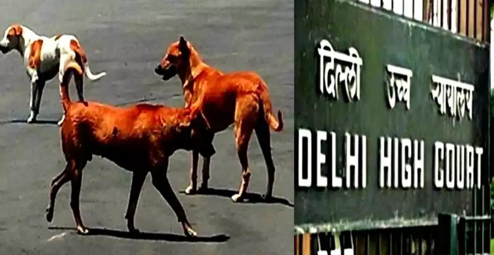 Delhi HC directs proper release of stray dogs captured during G20 Summit