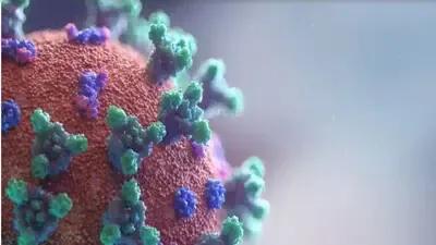 Over 1,300 samples of Omicron sub-variant XBB2.3 found in India, XBB.1.16 dominant in country: INSACOG