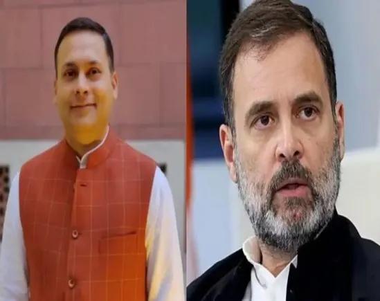 Rahul parochial in opposing one nation, one election, should not stand in way of reforms: BJP