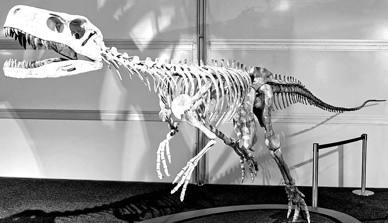 Oldest Fossil Of Dinosaur