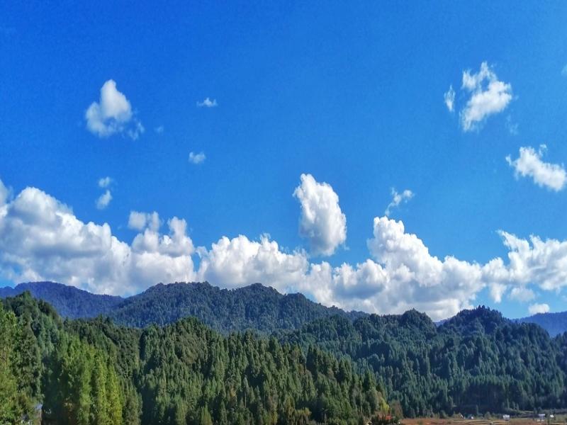 Nations need to halt emissions faster, protect climate, rules world’s highest court (Ld)