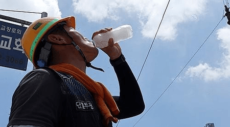 WHO, WMO call for global efforts to protect workers from rising heat