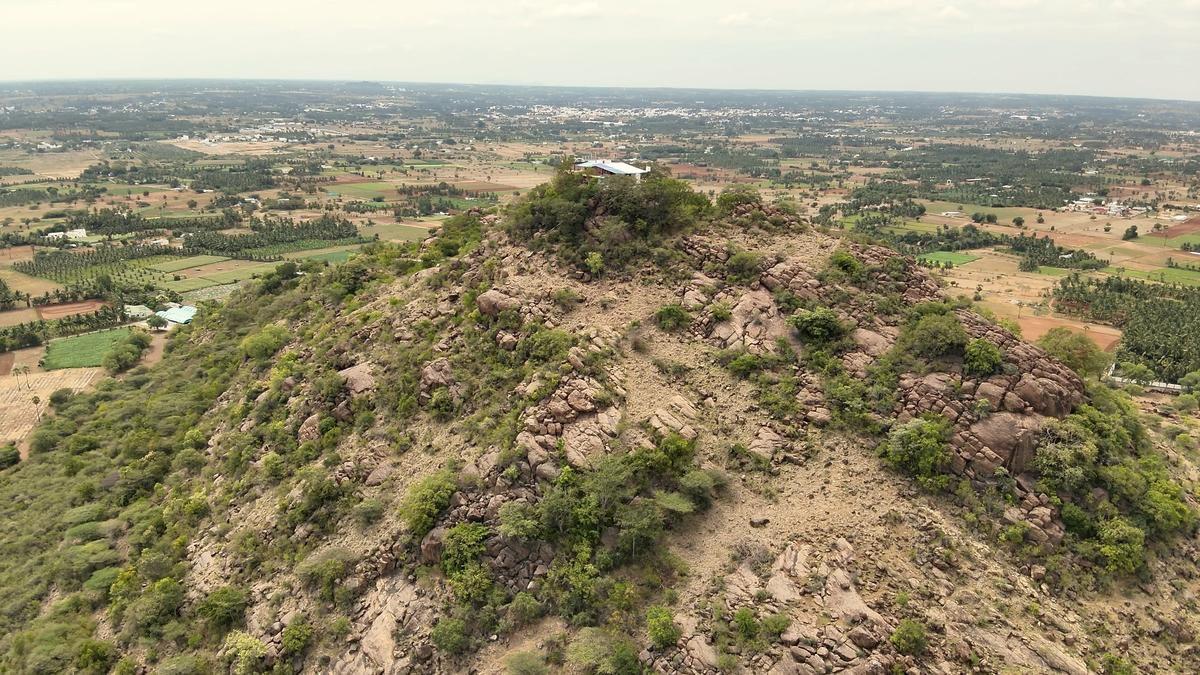 Nagamalai Hillock in Erode declared TN's fourth biodiversity heritage site