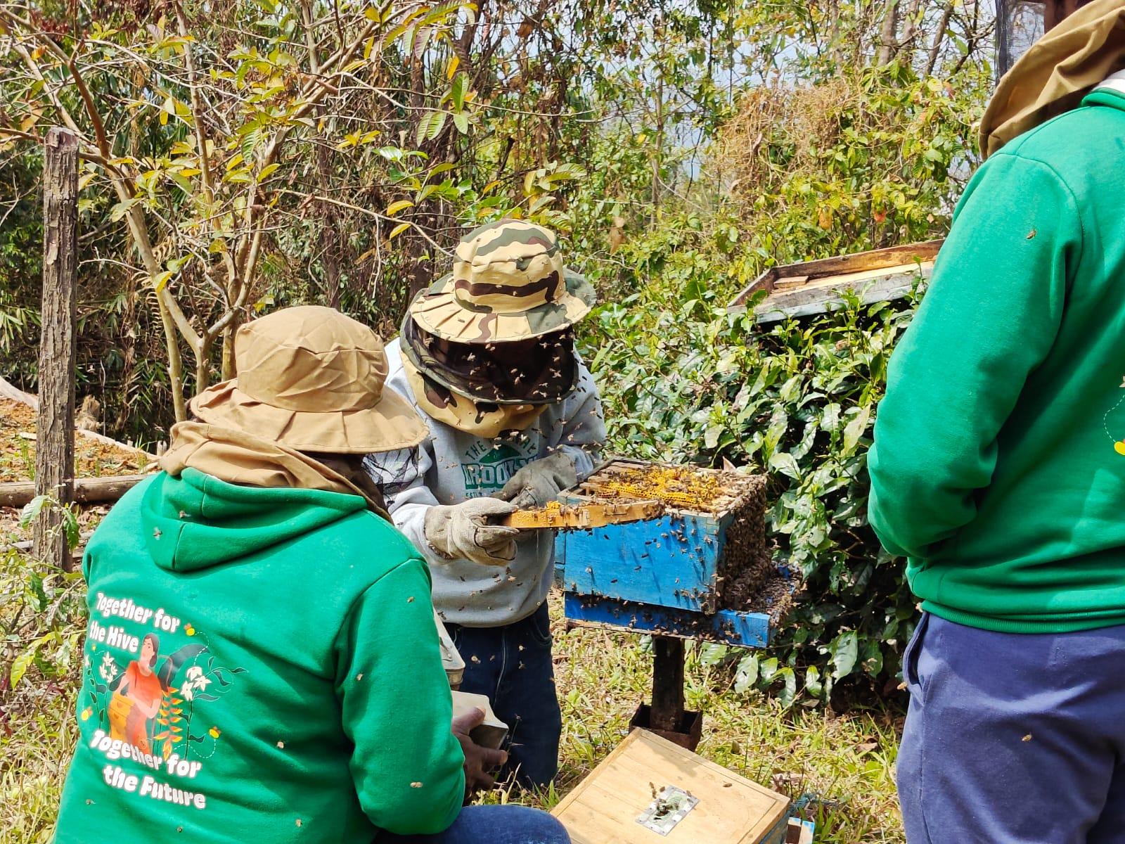 Manipur: Over 100 farmers get training to ramp up honey production in Tamenglong