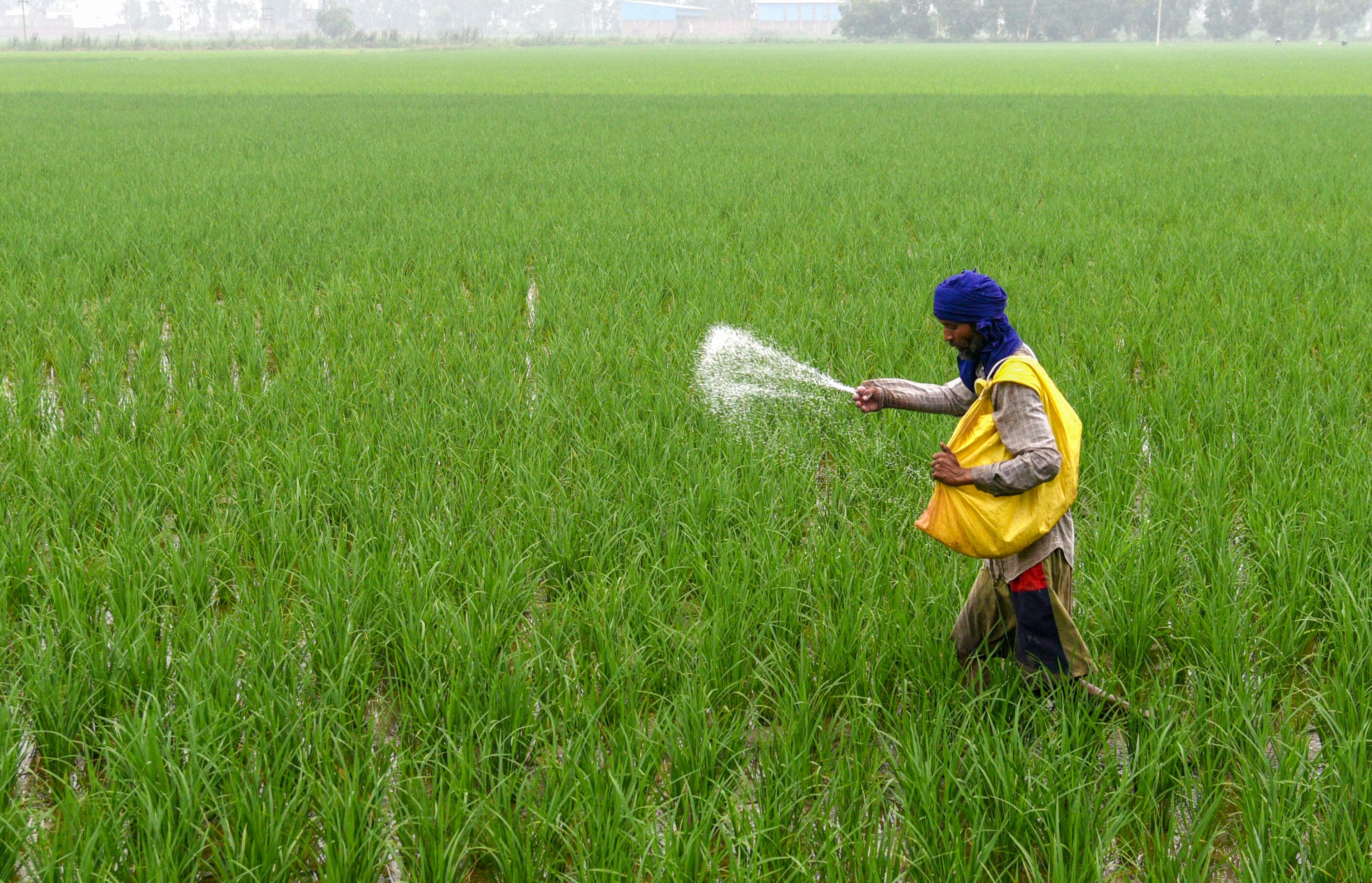 No plan to hike urea prices, clarifies Centre