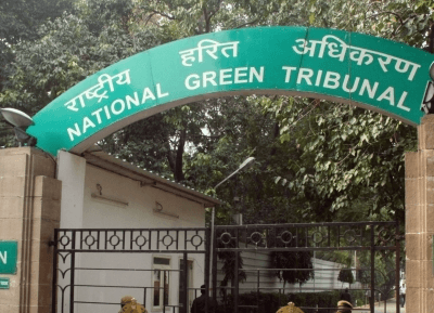 NGT seeks fresh inspection report on forest 'encroachment' in Delhi's Saket