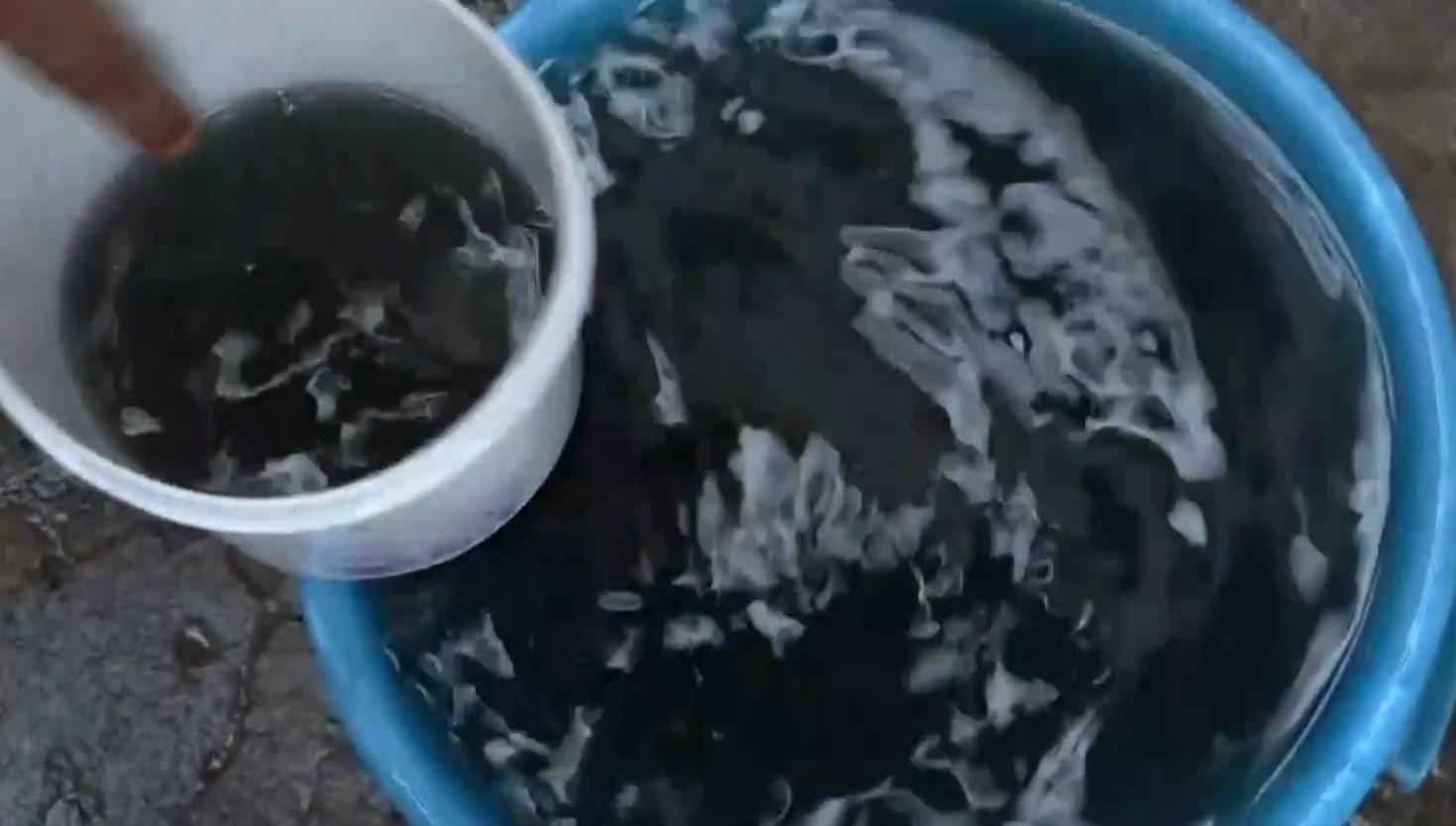 Indore water crisis: Residents of Bakery Gali claim using contaminated, insect-infested water