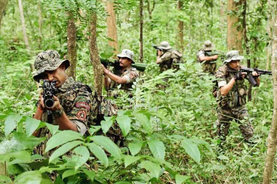 Seven naxals killed in encounter