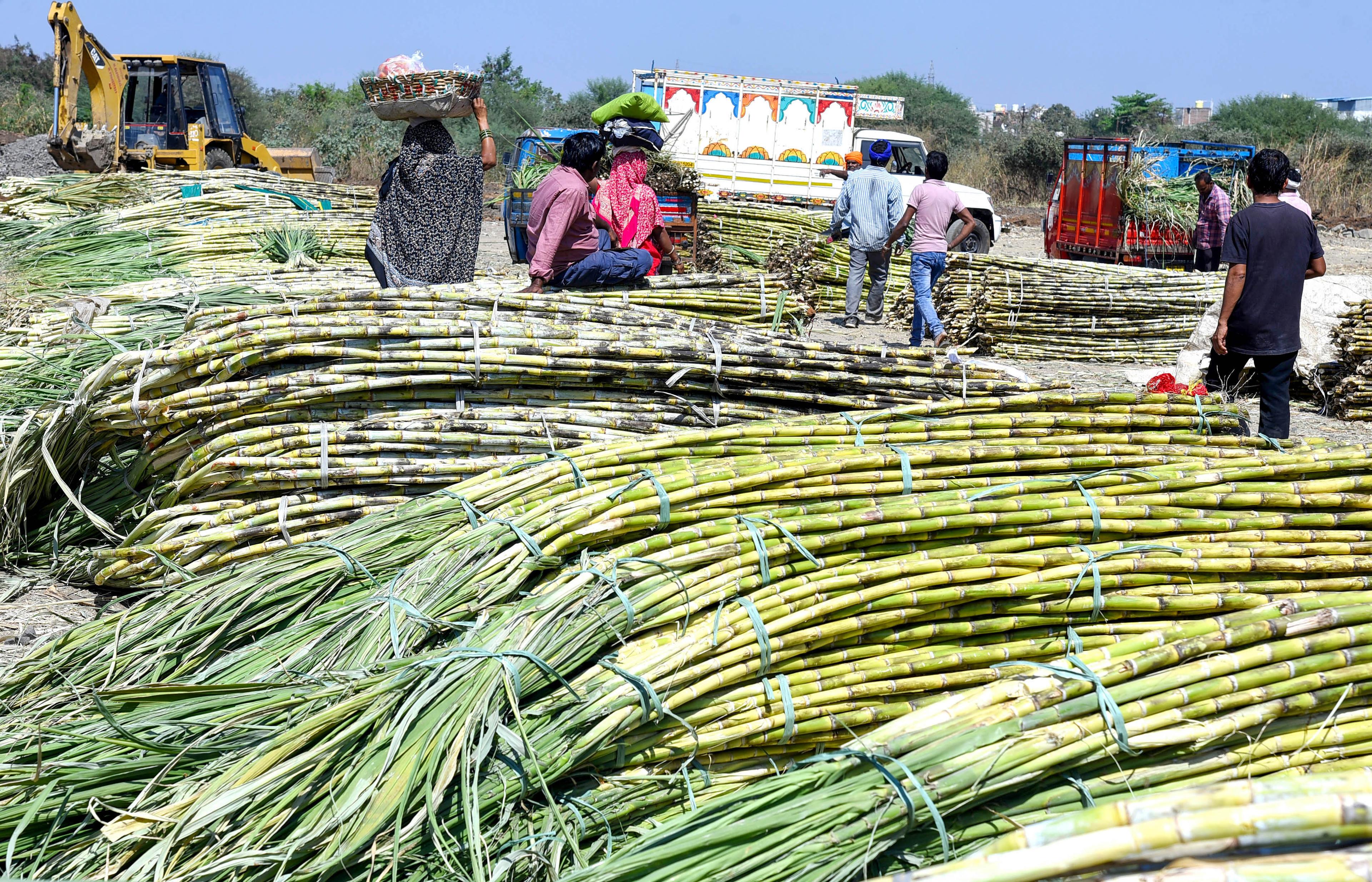 India's sugar production to rise 18 pc YoY, exports likely to touch 2 million in next season