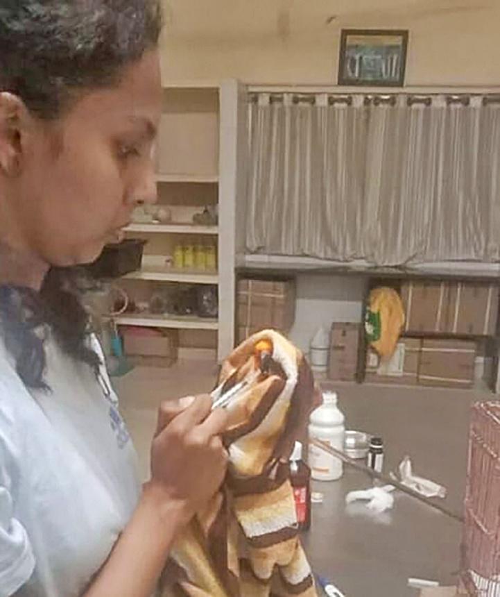 Veterinarian killed in hippopotamus attack in zoo, K'taka govt orders probe