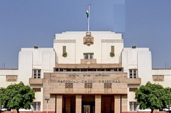 NGT closes suo moto case over sewage in Delhi’s Satpula Lake after water quality improves