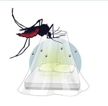 Over 34.9 mn globally at risk of chikungunya every year, South Asia tops: Study