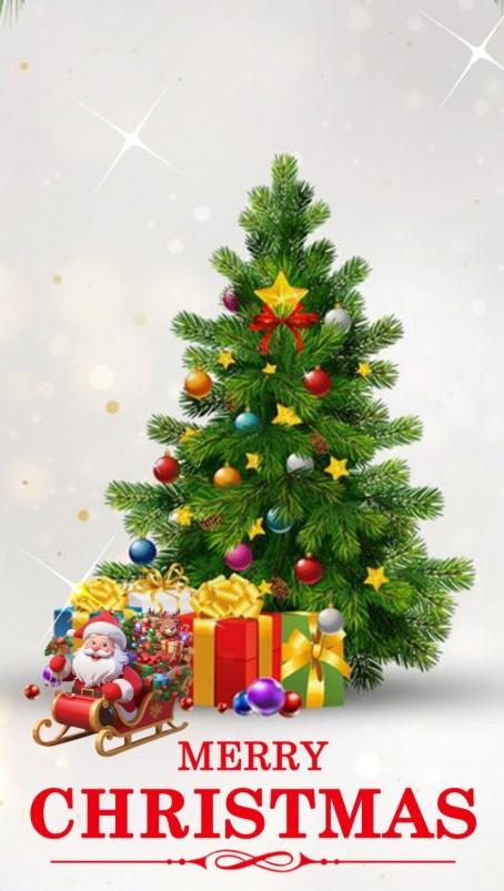 Telugu states mark Christmas celebrations with pomp & gaiety