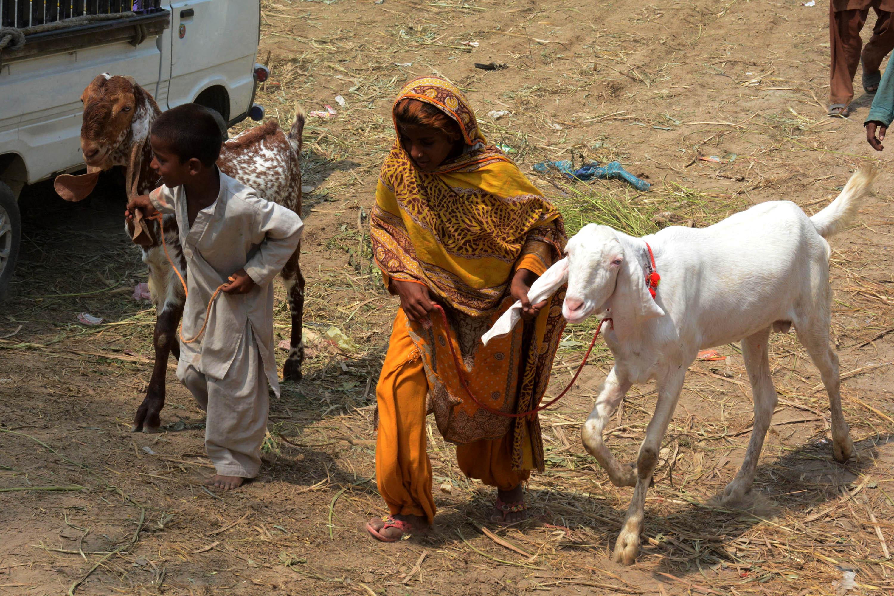 Systematic failure, entrenched patriarchy fuels gender-based violence in Pakistan