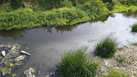 Key treatment plant in TN's Tirupppur nears completion to stop sewage flow into Nallaru River