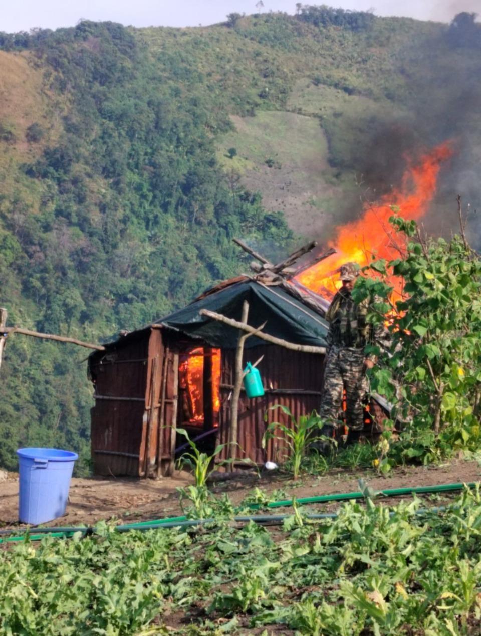 Forest destruction for illegal poppy farming causing Manipur's recurrent floods: Biren Singh