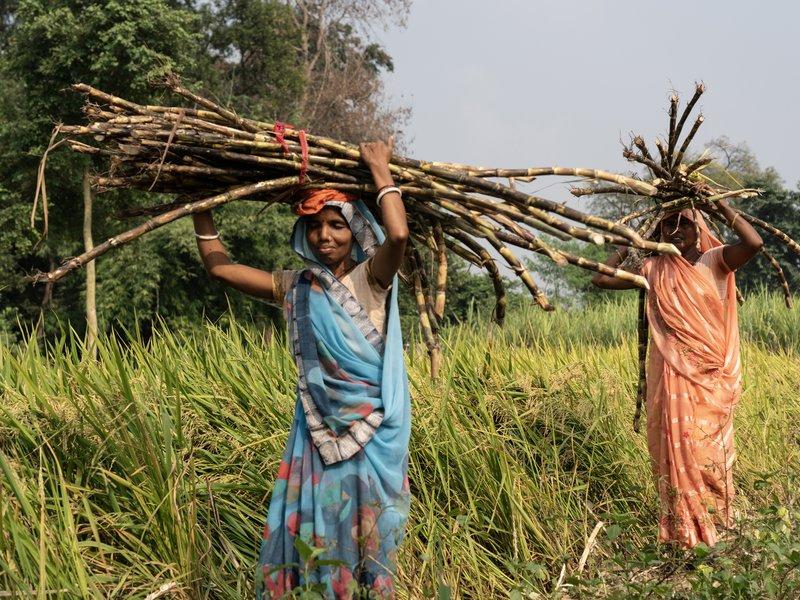Centre releases over Rs 299 crore to strengthen rural local bodies in Assam