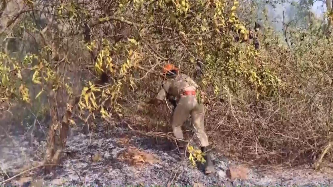 Fire Breaks Out at Cashew Orchard