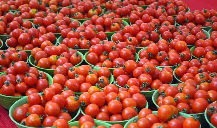 Tomato prices double across TN as rain hits supply