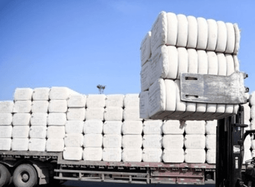 TN textile sector backs budget reforms, flags cotton import duty as key threat to exports