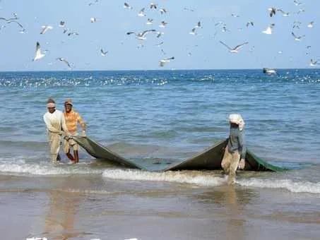 Fishermen catching fish