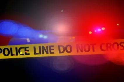 Missing minor boys found dead in pit in UP's Shamli